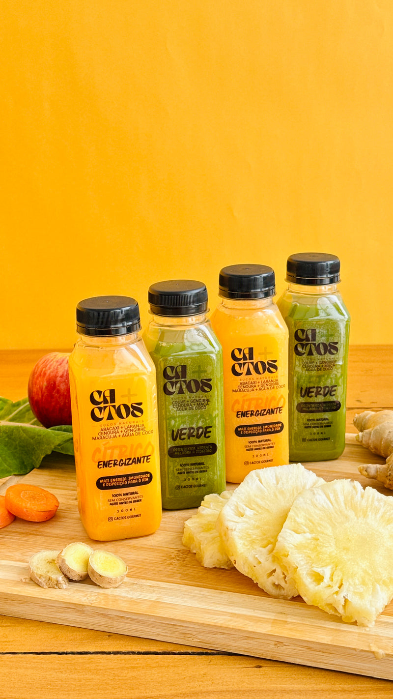 Kit 12 Sucos Saudáveis de 300Ml
